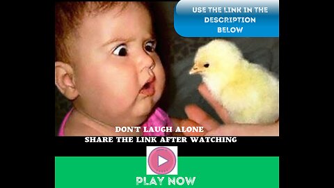 Try Not To Laugh: Funniest Moment Of Baby And Animals |Best Friend Is Sharing...