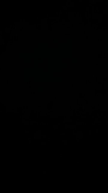 I pledge allegiance to the flag 🇺🇸