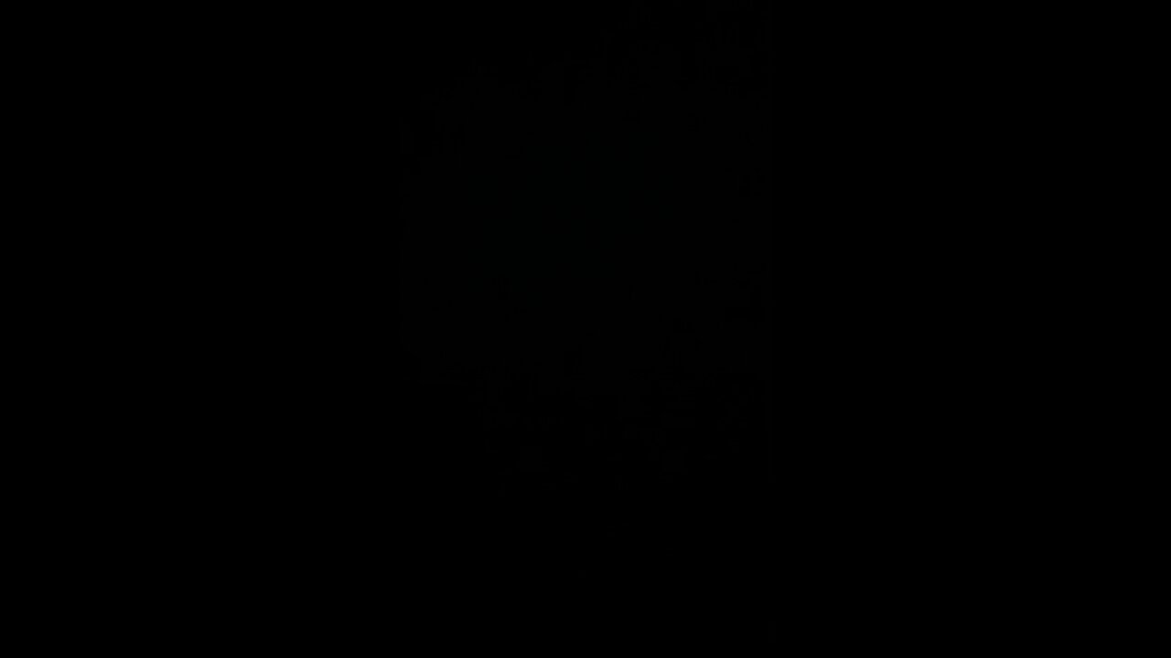 I pledge allegiance to the flag 🇺🇸