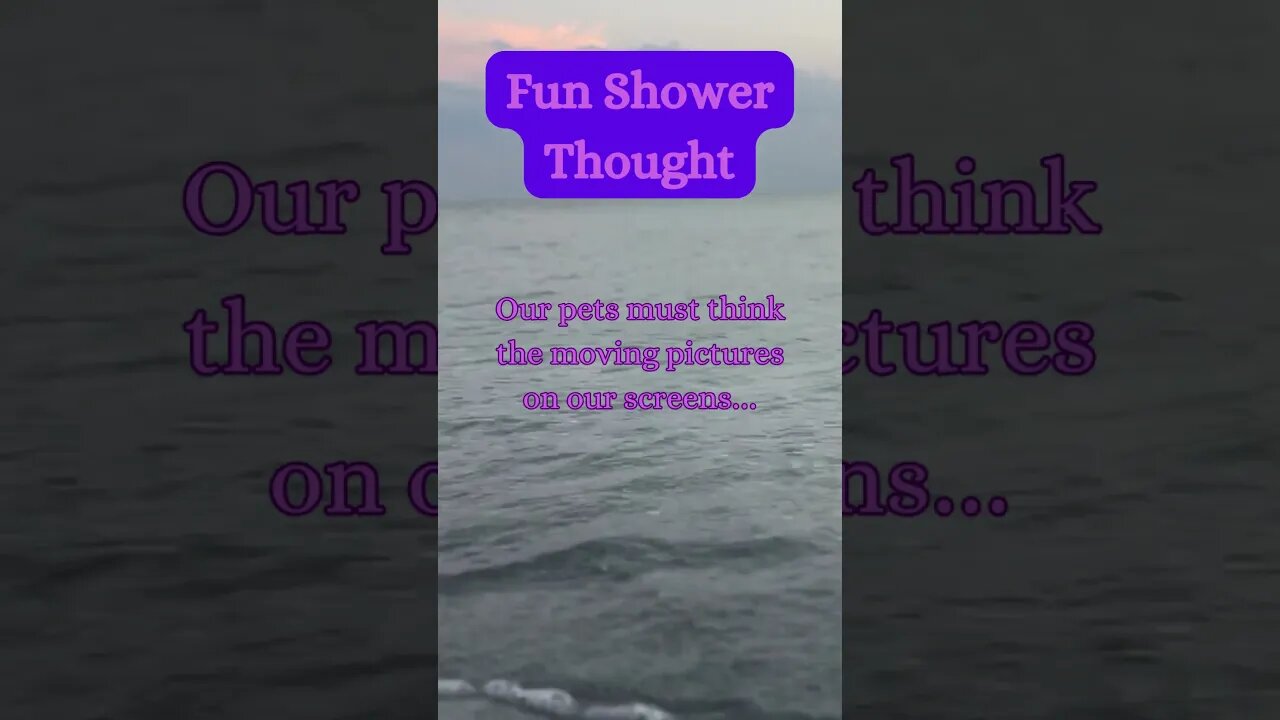 Beach Brainwaves! 🌊 Unexpected Shower Thought Revealed! @AmbientNoiseCo. #showerthoughts #beach