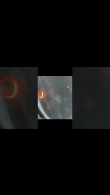 Ai O Bicho Pega #shorts