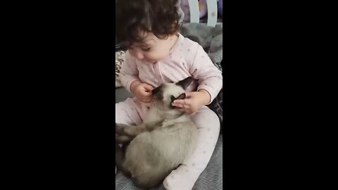 Cute Little Babies and Cats Being Funny Hilarious Cats_shorts _cutebaby