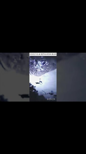 Raw: Suspect Runs into Homeless Camp in LA #shorts #chase #pursuit