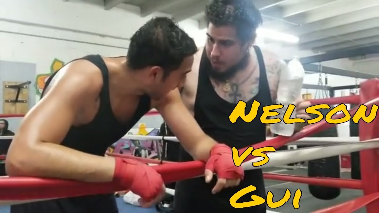 GUI VS NELSON FULL VIDEO