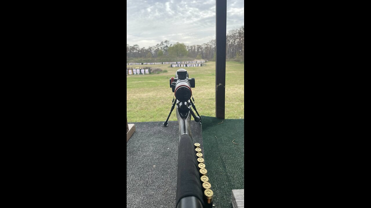 Savage 308 / 200 yards