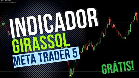 🔥 INDICADOR GIRASSOL META TRADER 5