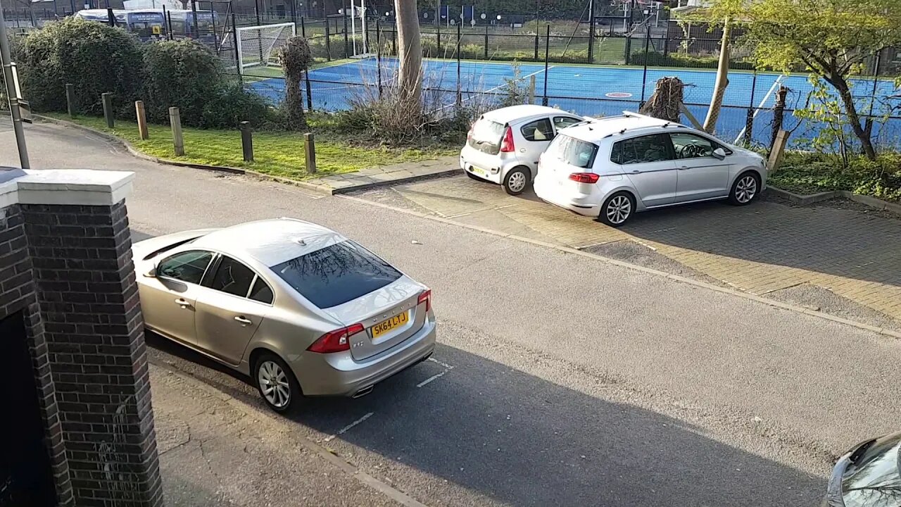 Tail-less squirrel and London skyline during Corona lockdown.