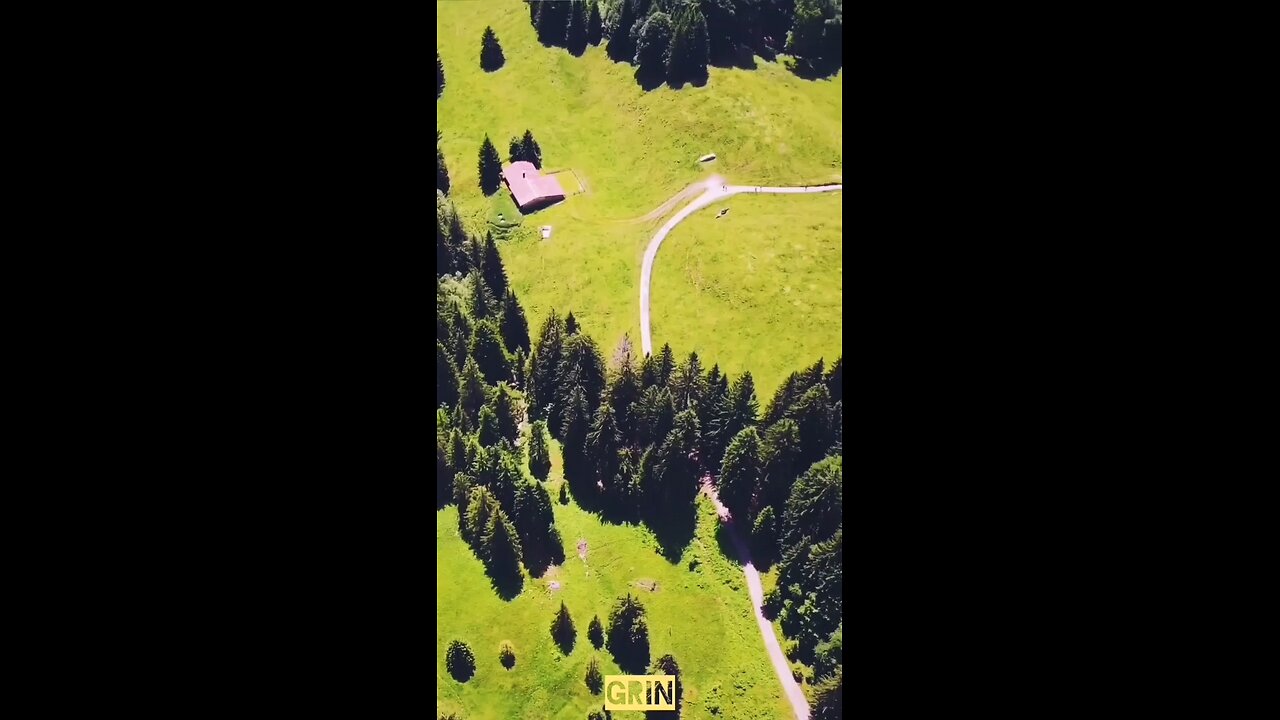 🟢Aivi - Ohne Dich...💚(1)