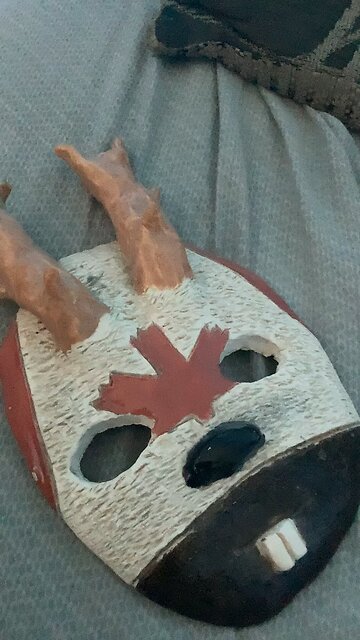 Turtle invades Canada(mask)