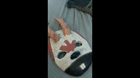 Turtle invades Canada(mask)