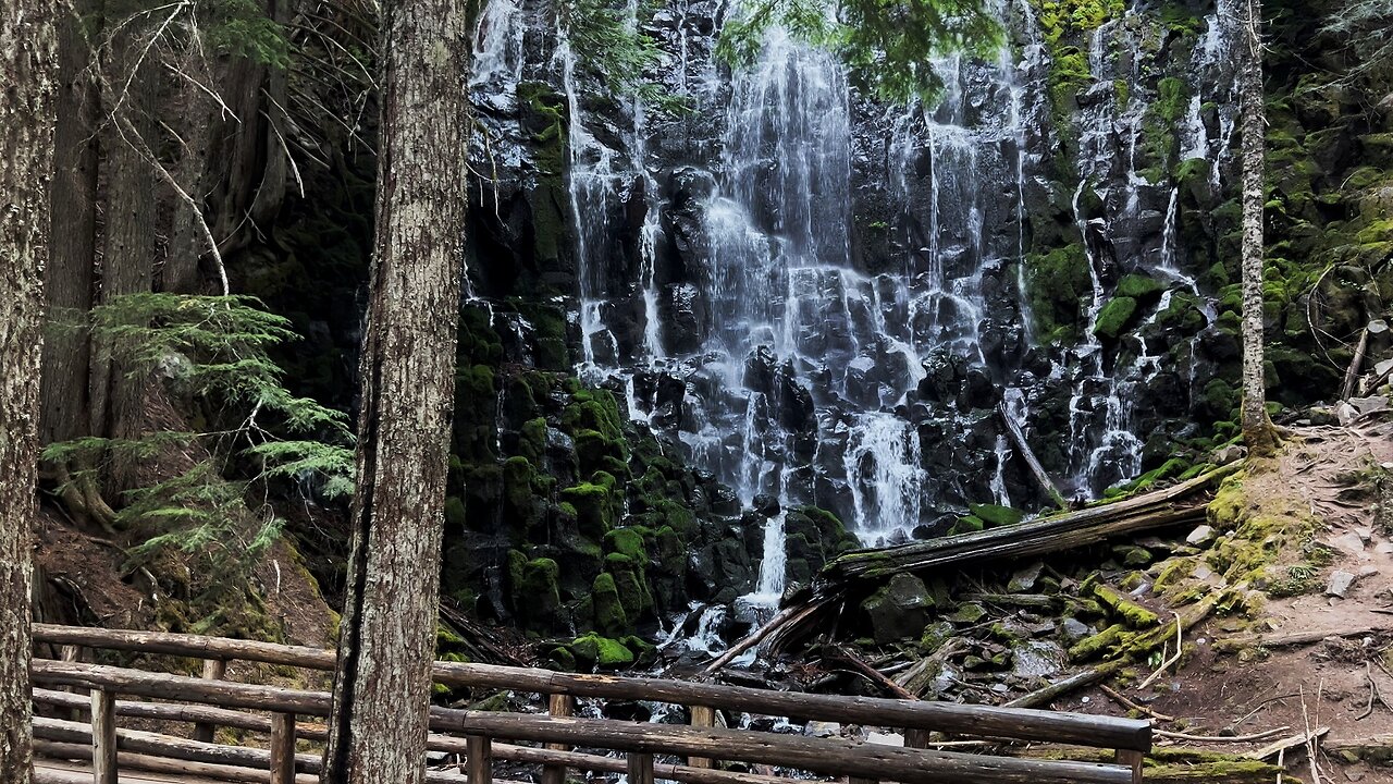 ARRIVING AT & EXPLORING THE EPIC Ramona Falls & Rustic Log Bridge! | 4K Timberline Mount Hood Oregon