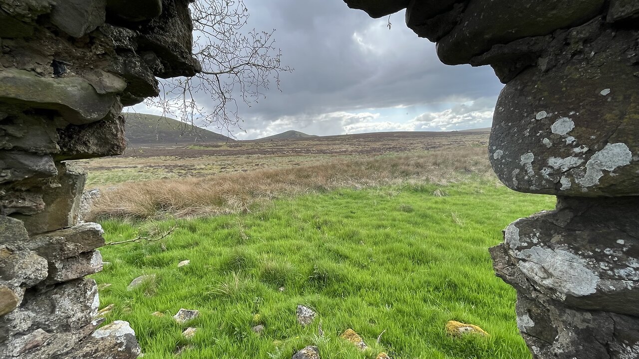 Thrashiedean Plantation and East Cairn loop