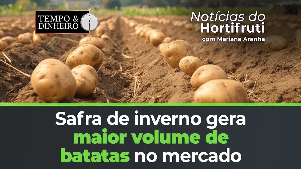 Maior volume de batatas no mercado por conta da safra de inverno