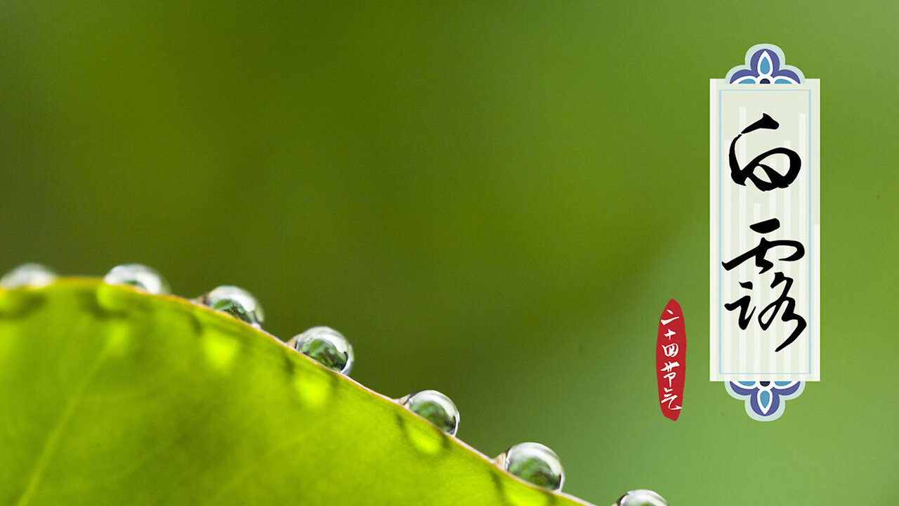 中華傳統文化:二十四節氣中的白露,承載了多少古代的好詩詞,白露為霜秋意漸涼,這個冬天,世界會怎麼樣?