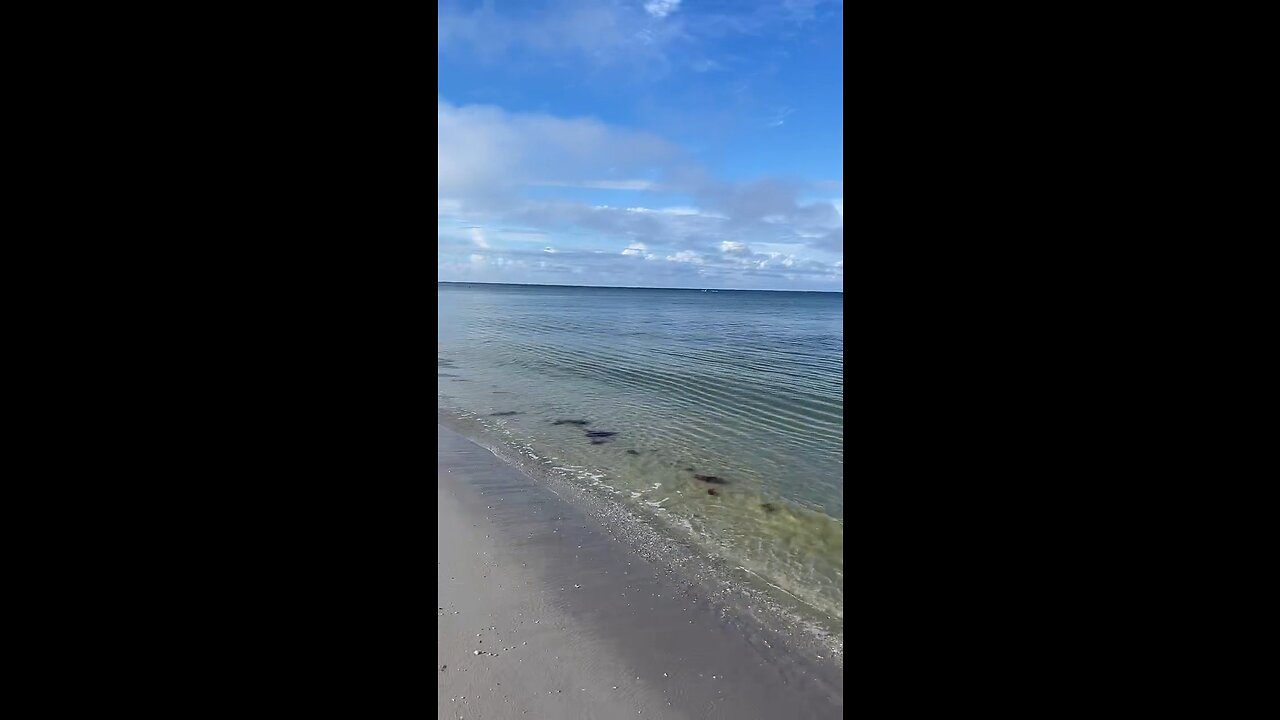 Livestream Clip - Lowdermilk Beach To Naples Pier Before Ian PT 1 #LiveStream