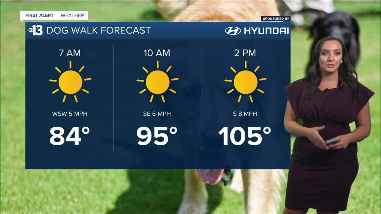 How to keep your pets cool in the Las Vegas heat