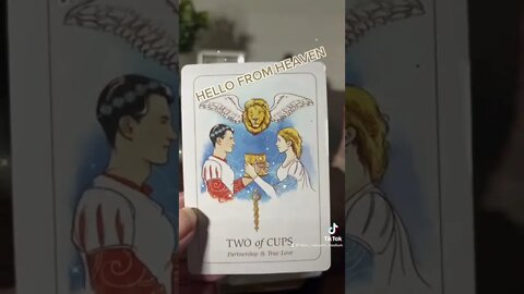 HELLO FROM HEAVEN #tarot #youtube #guidance #love #happy #life