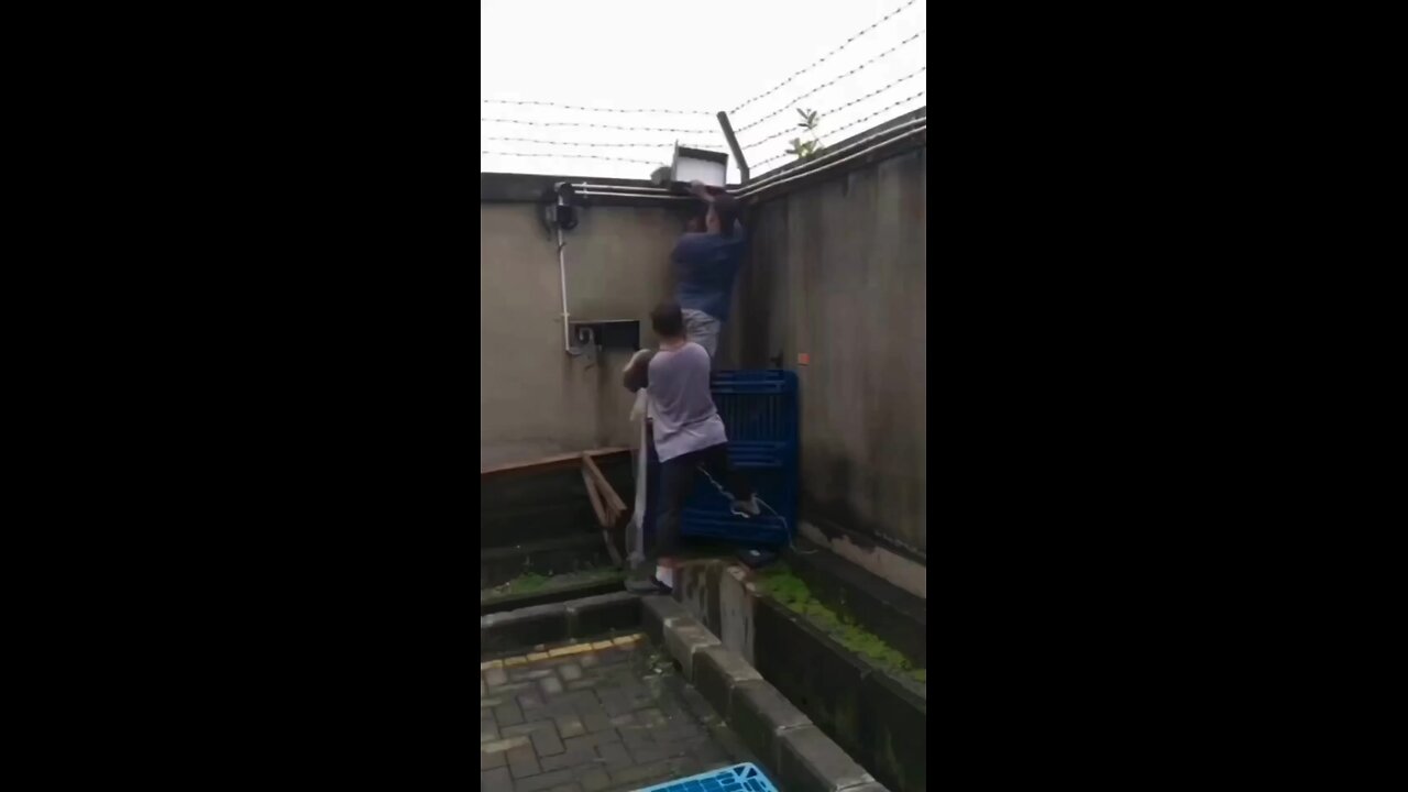 funny video compilation