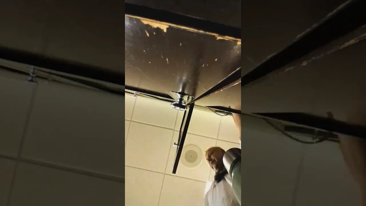 music driving to McLean Regency tennis