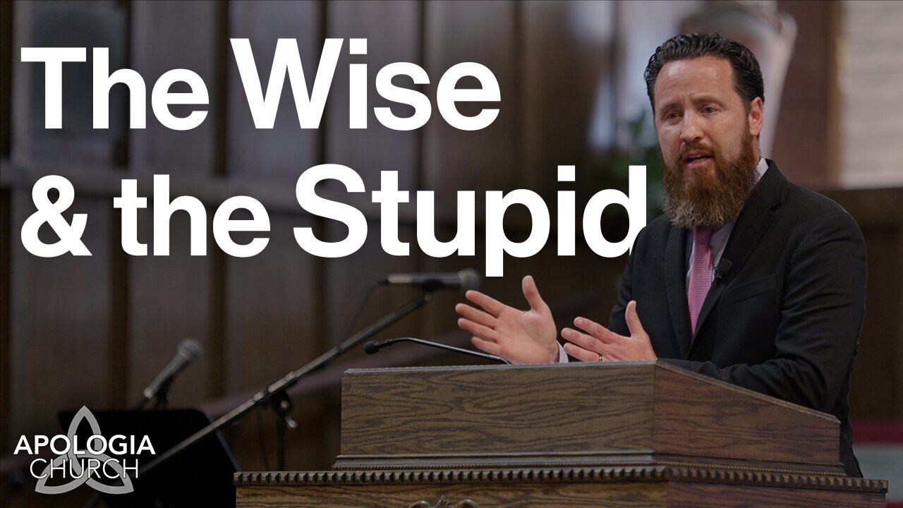 The Wise & The Stupid