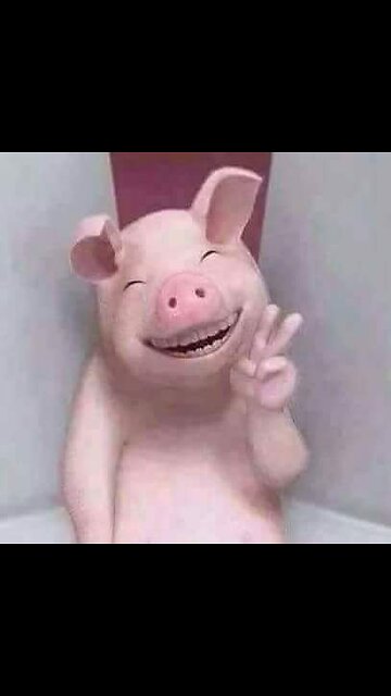 Grogu’s_curiosity no name animal.