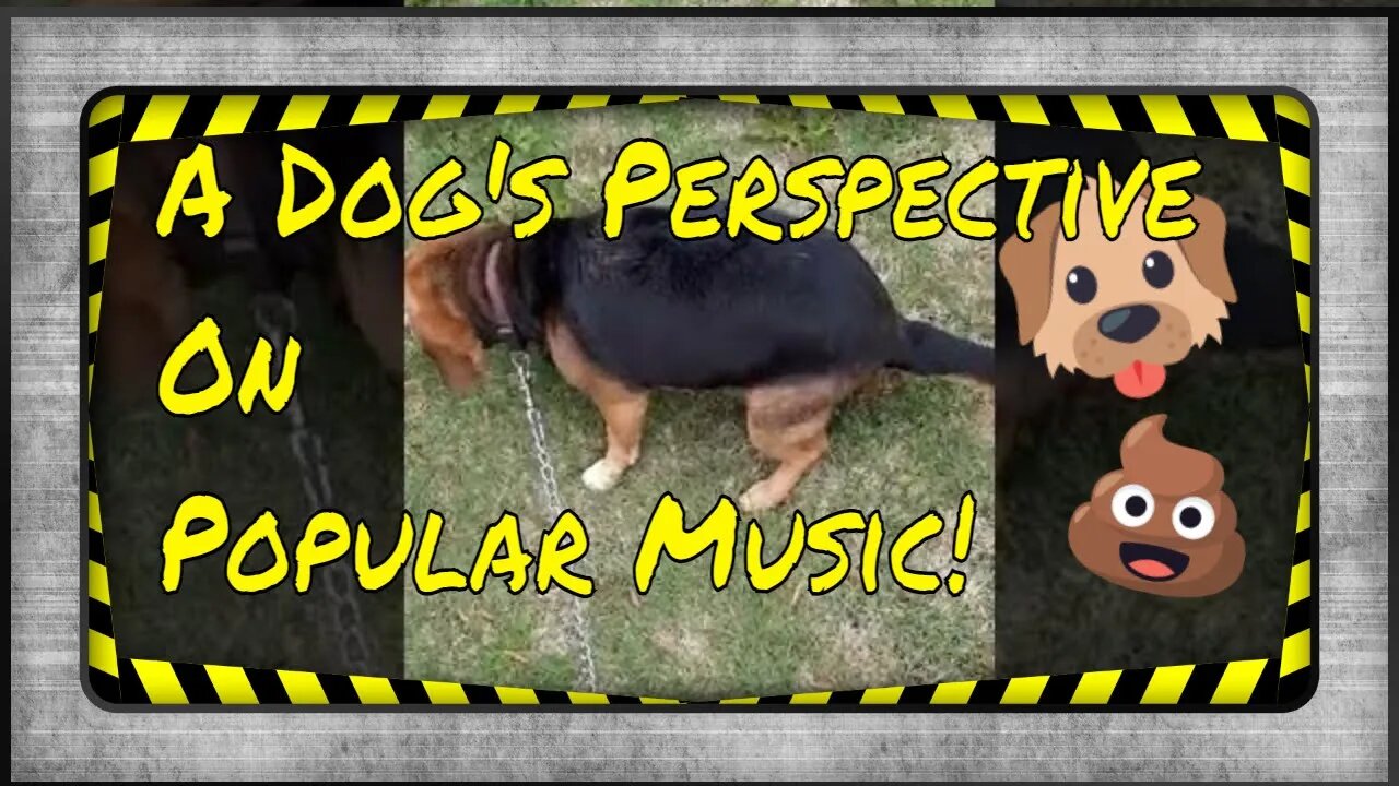 A Dog's Perspective on Popular Music: Maxine the Beagle Says It Sucks!