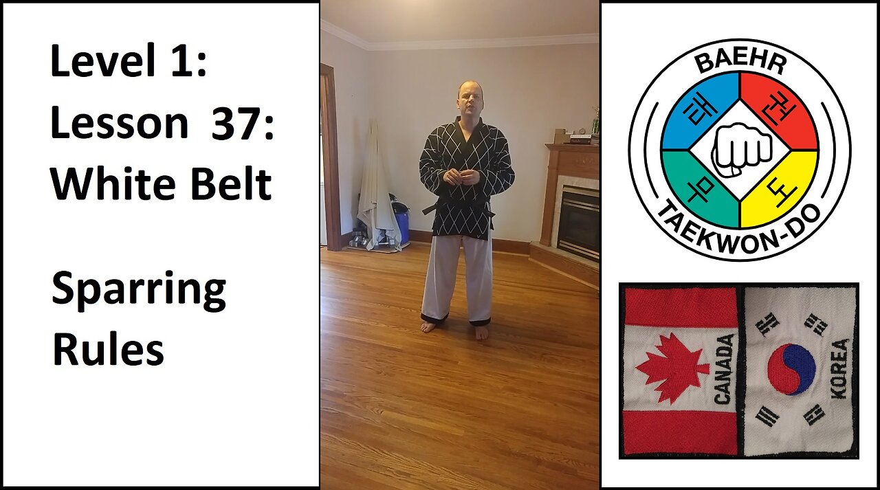 Baehr Taekwondo: 01-37: White Belt - Sparring Rules