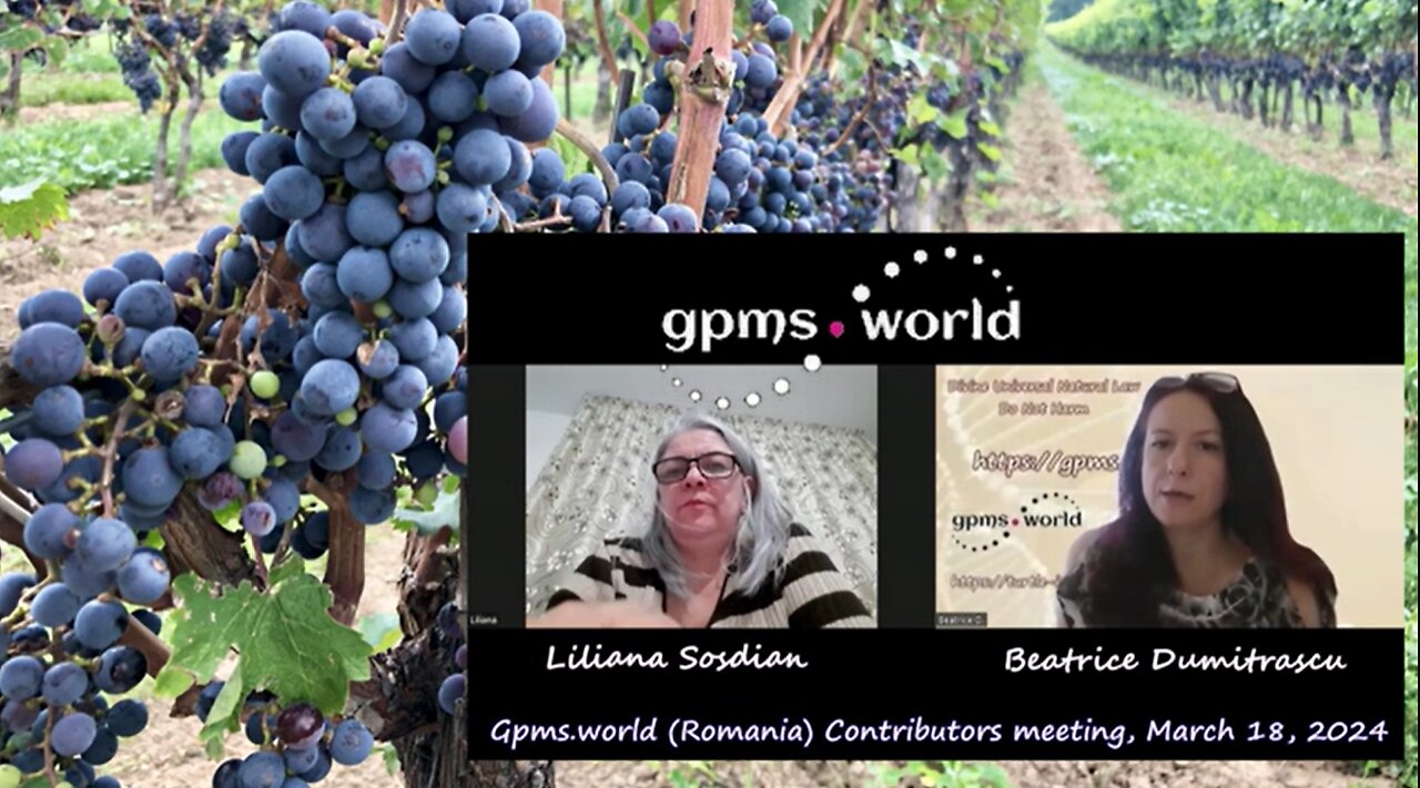 Gpms.world ( Romania) Contributors meeting, March 18, 2024