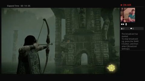 Shadow of the Colossus livestream 2