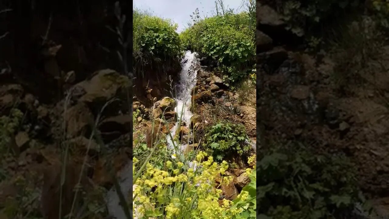 #manzara #yayla ÇİMENLİKLERİN ARASINDAN AKAN SU.