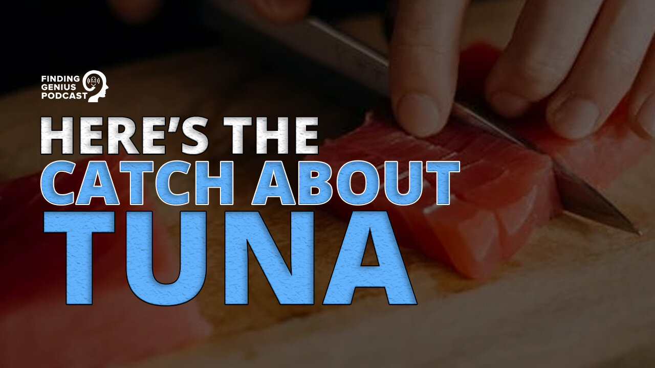 Here’s the Catch About Tuna