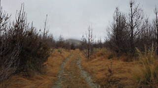 A quick walk, lunch and visit at the Hut | After Easter Walk