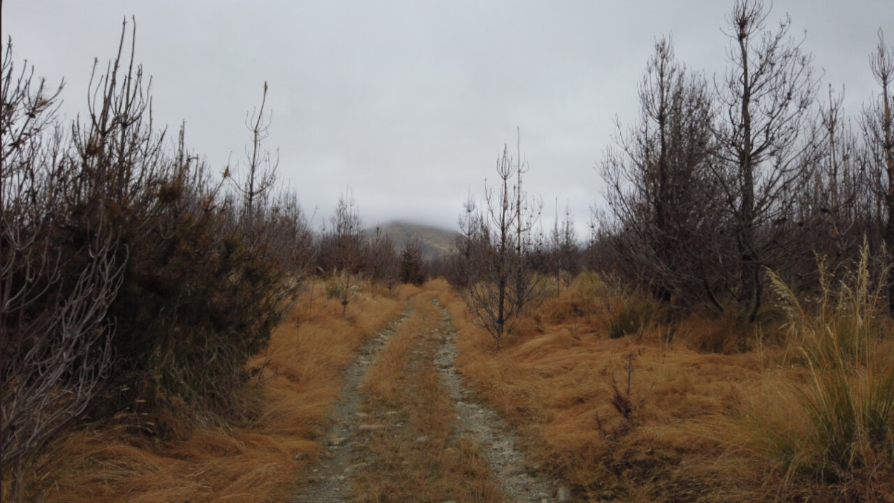 A quick walk, lunch and visit at the Hut | After Easter Walk