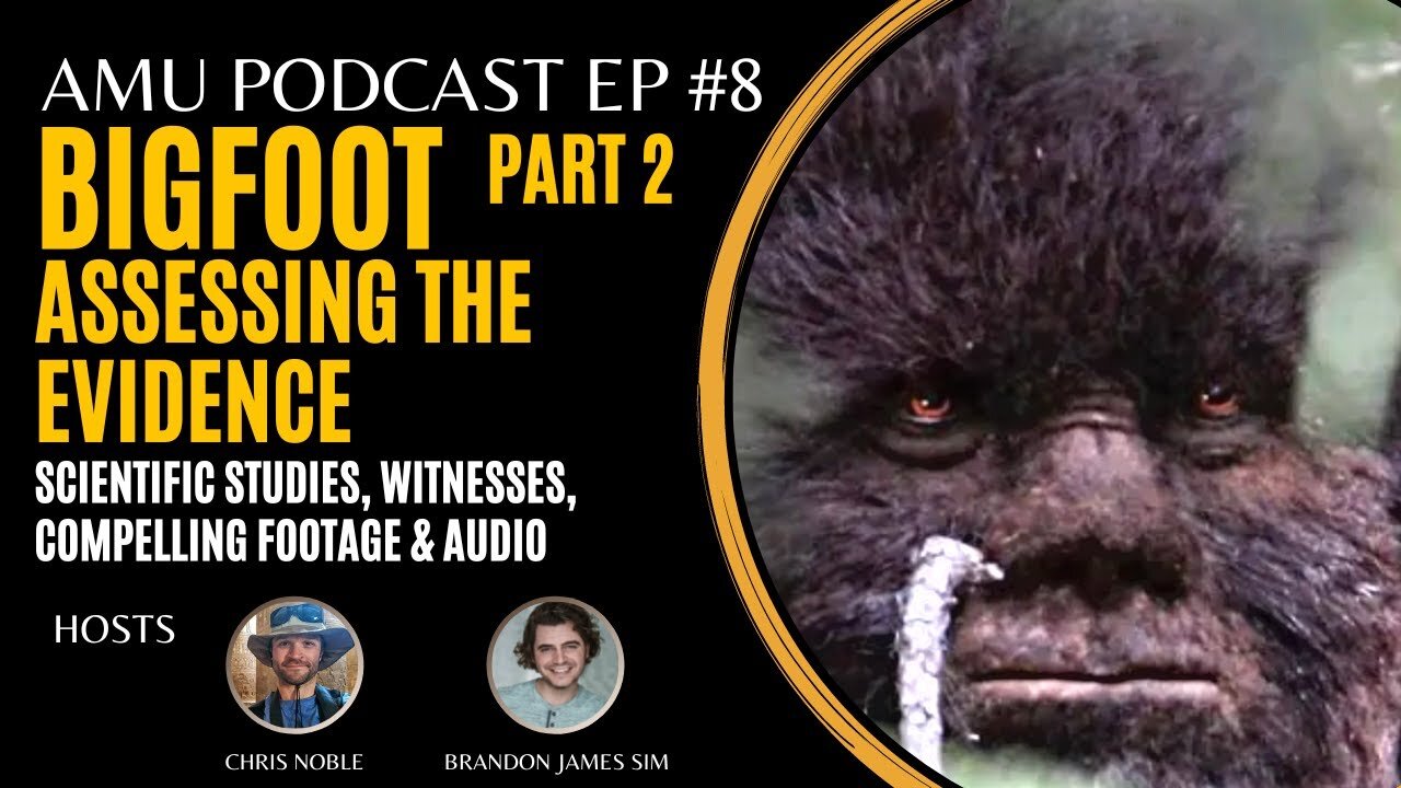 Bigfoot | Part 2: Assessing the Evidence - Footage, Eye Witness, 911 Call & Scientific Study