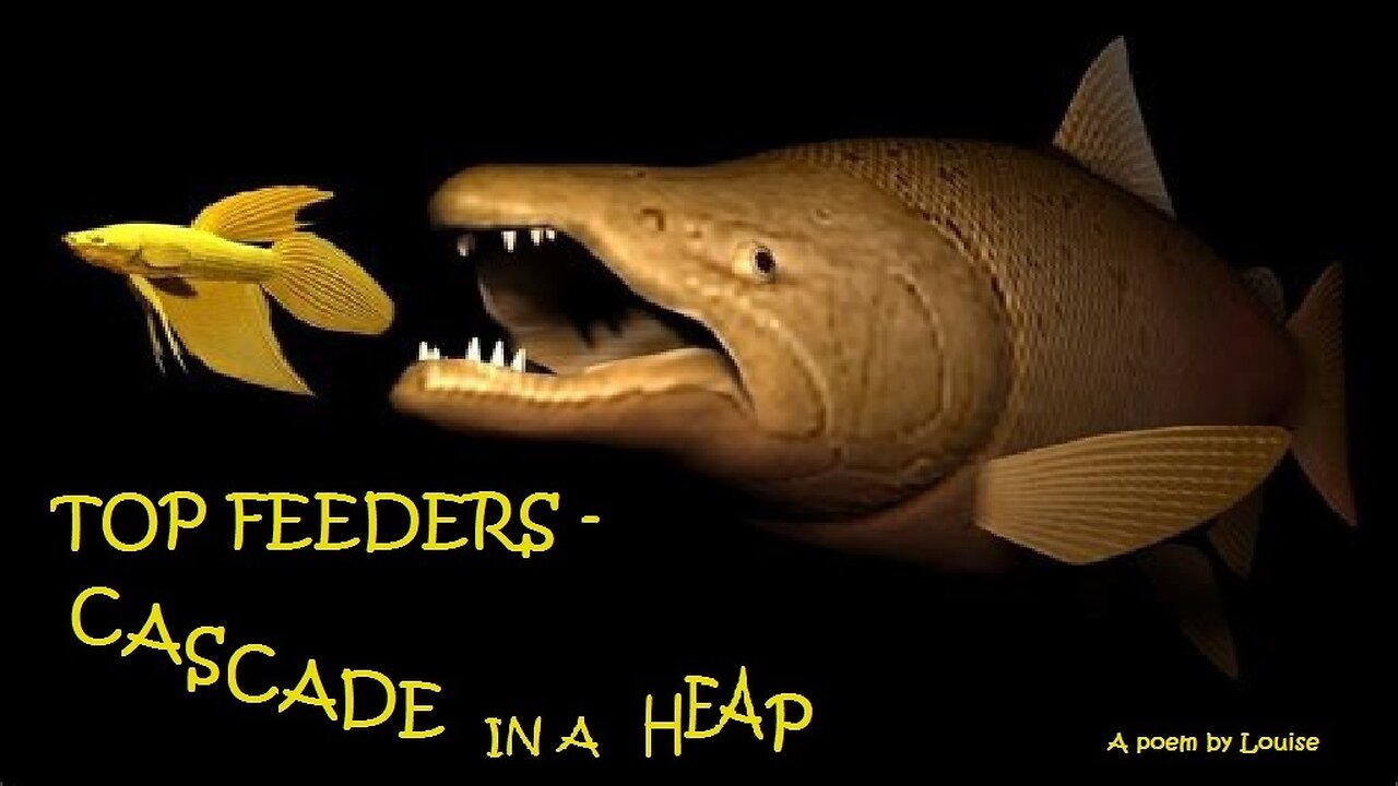 Top Feeders - Cascade in a Heap
