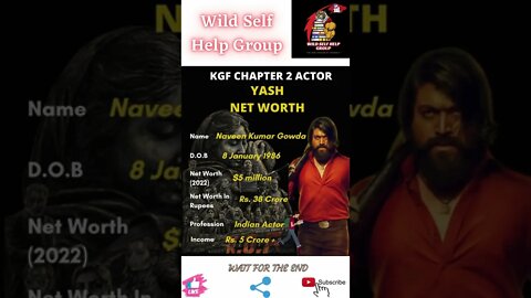 🔥KGF Chapter 2- Actor Yash Net Worth🔥#shorts🔥#wildselfhelpgroup🔥18 April 2022🔥
