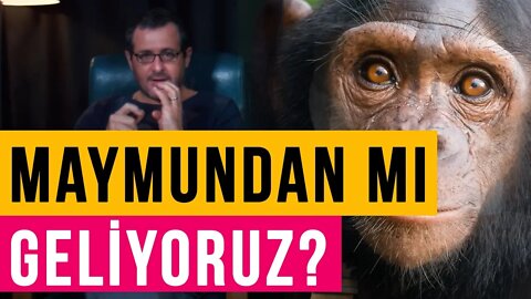 Maymundan mı Geldik? Evrime Kim, Neden Karşı? Herkes mi Aynştayn? - Teferruat (8)