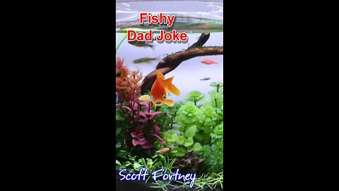 Fishing for Dad Jokes 🐟