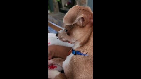 Dusty is tired