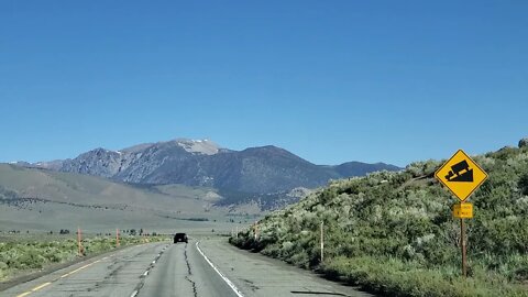 MONO NATIONAL FOREST 💜
