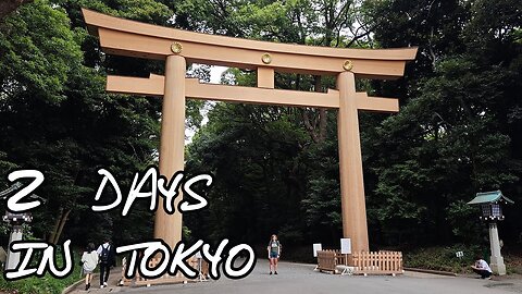 Exploring Tokyo: Akihabara, Shibuya, and Ikebukuro! | My First International Adventure in Japan