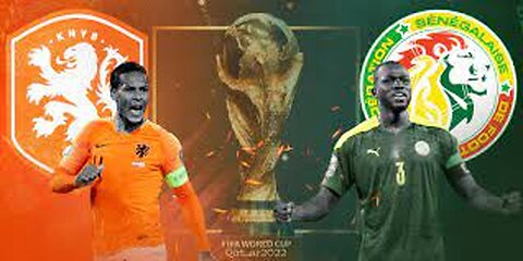 Netherlands Vs Senegal | 2-0 | All-Goals | World Cup 3.Match