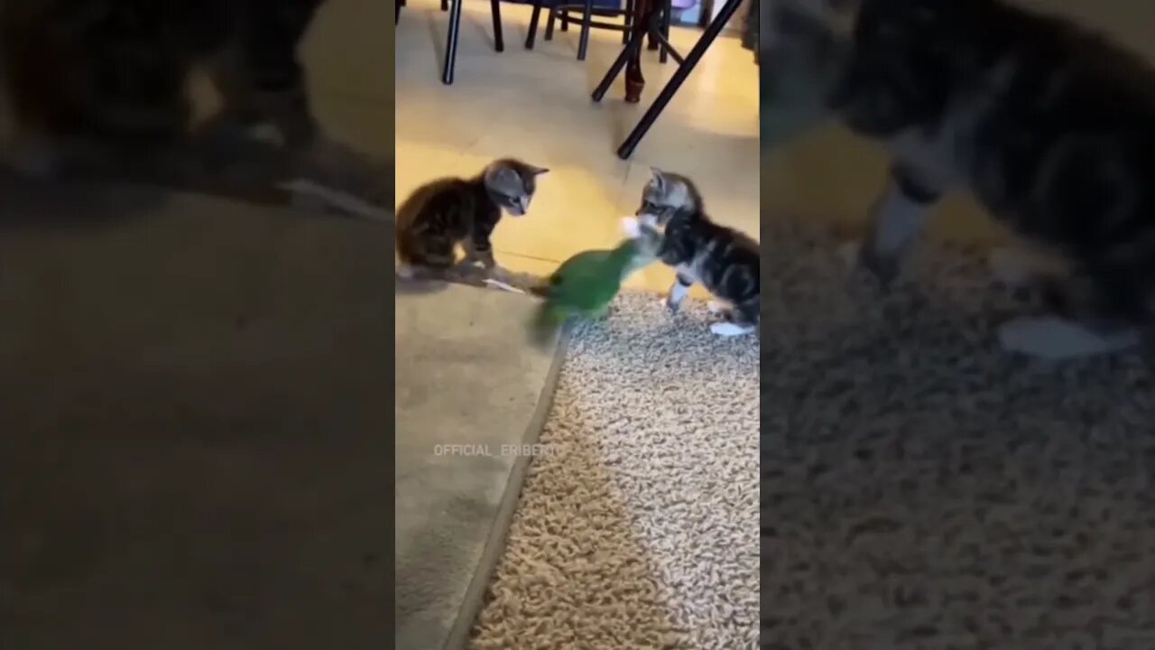 it's #the #one #and #only D-O double G #memedodoubleg