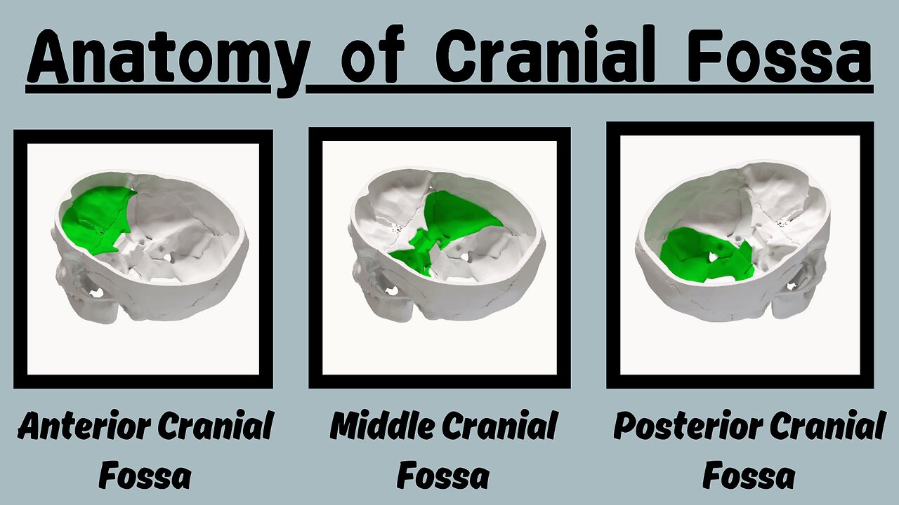 Cranial Fossa Anatomy: Key Landmarks and Detailed Overview | Novice Medic