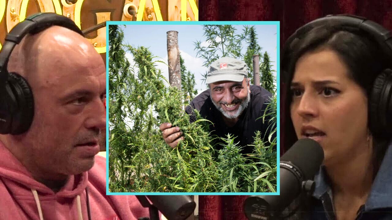 The New Trillion Dollar Crop | JRE