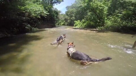 Taking The Family To My Fishing Creek