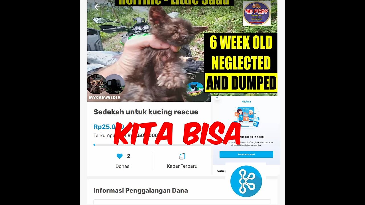 Kitabisa.com - Our ad for kitten rescue on Indonesia's 'Fund me' website