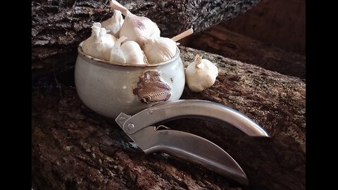 The Best Heavy Duty Garlic Press