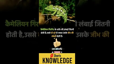 Motivational Quotes Intresting Facts lifestyle & research #shorts #ytshorts #knowledge #motivation