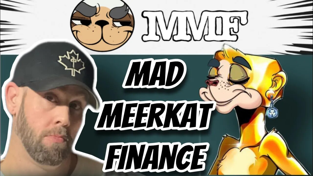 MM FINANCE | Mad Meerkat Finance overview, Yield Farming, and Staking #MMFinance #yieldfarming #nft